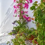 Casa Mardiva Rocca *