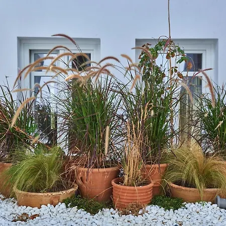 Casa Mardiva Rocca Apartment